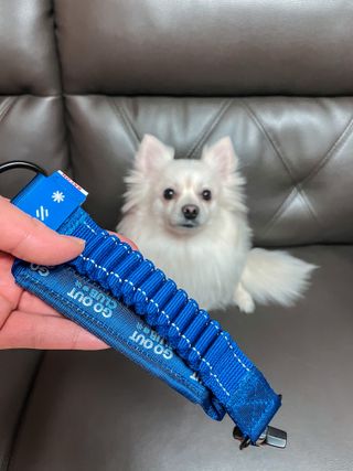스카일라님이 올린 리뷰 사진 3