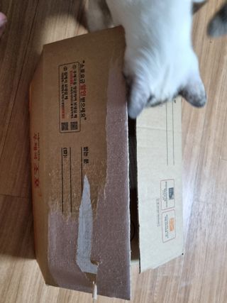 쳐저쏘님이 올린 리뷰 사진 1