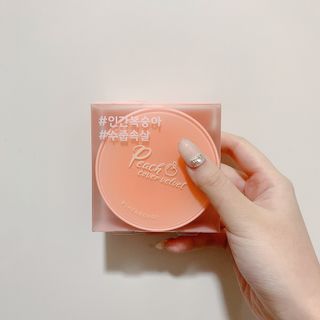 [블랙루즈] 피치 커버 벨벳 쿠션 2종 중 택1 — 5점을 준 리뷰어가 2020년 12월 올린 사용 사진