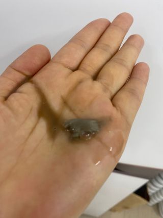오늘도스마일님이 올린 리뷰 사진 3