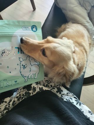 My Pet Care 천연단백질 눈건강에 개좋아 — 5점을 준 리뷰어가 2021년 4월 올린 사용 사진