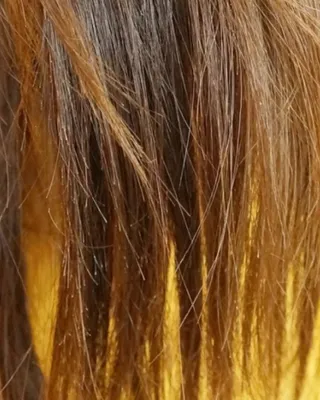 롱롱님이 올린 리뷰 사진 3