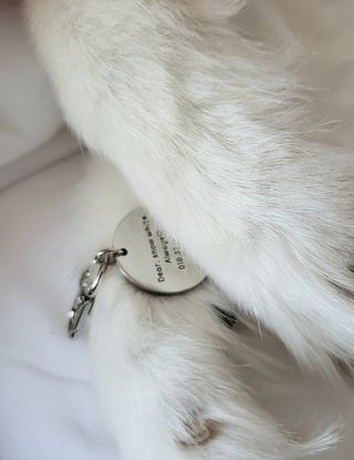 블리블리♡은블리♡님이 올린 리뷰 사진 4