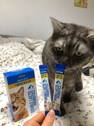 씨디랩 장 건강과 구강 건강을 한 번에 더블락토 강아지 고양이 유산균 — 4.5점을 준 리뷰어가 2021년 1월 올린 사용 사진