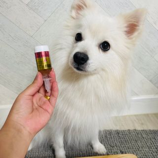 은공님이 올린 리뷰 사진 1