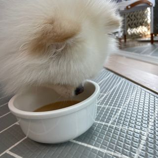 단미콘님이 올린 리뷰 사진 4