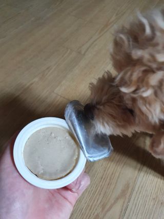 끌랑님이 올린 리뷰 사진 2