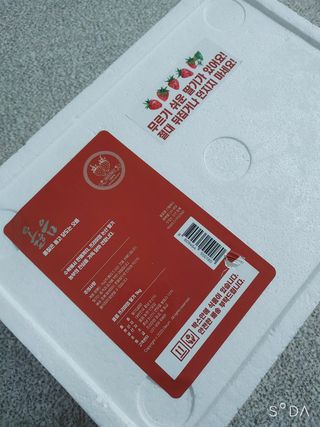 옳음 딸기 논산 설향 딸기 900g 산지직송 — 5점을 준 리뷰어가 2021년 1월 올린 사용 사진