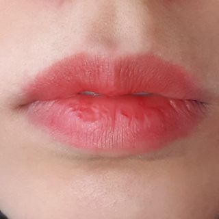 소이양님이 올린 리뷰 사진 3
