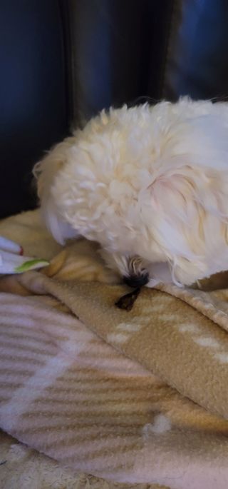 최홍규님이 올린 리뷰 사진 2