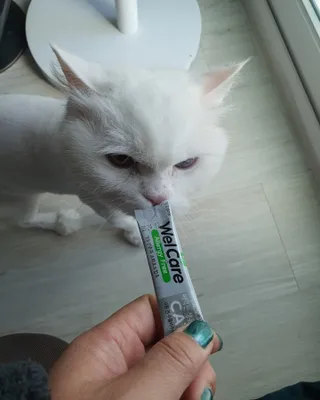 poochi님이 올린 리뷰 사진 3