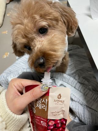 harumom님이 올린 리뷰 사진 3