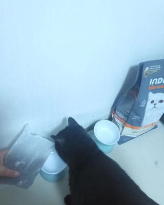 함지아님이 올린 리뷰 사진 1