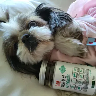 노이님이 올린 리뷰 사진 1