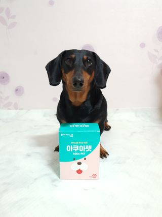 펫시랩 반려견용 액상 프리바이오틱스 아쿠아펫 — 5점을 준 리뷰어가 2021년 1월 올린 사용 사진