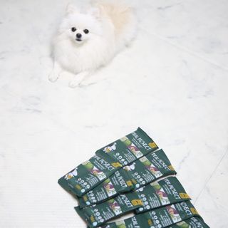 [푸디웜] 라포그  리얼인섹트 웨이트밸런스 저알러지 강아지 사료  1.2KG — 5점을 준 리뷰어가 2022년 7월 올린 사용 사진