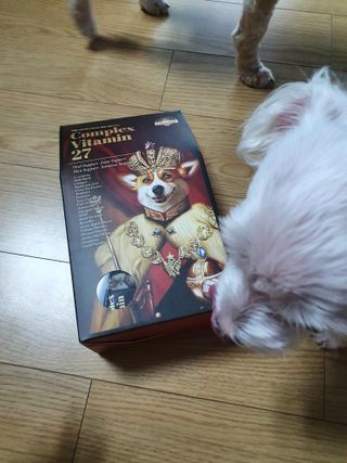 끌랑님이 올린 리뷰 사진 2
