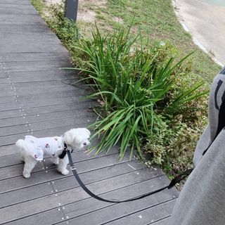 희온느님이 올린 리뷰 사진 1