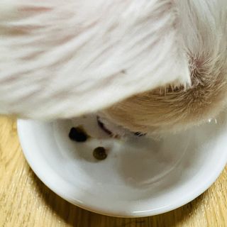 뽀히님이 올린 리뷰 사진 1