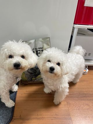 애리님이 올린 리뷰 사진 1