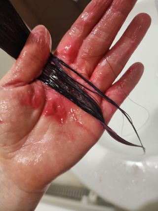 원레그리뷰님이 올린 리뷰 사진 4