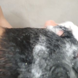 스칼프메드 레드캡슐바이옴 두피케어 프로바이오틱스 유산균 두피관리 세트 — 5점을 준 리뷰어가 2021년 4월 올린 사용 사진