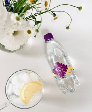 몽베스트 Montbest with Sparkling water Lemon OR Lime 20병(랜덤) — 5점을 준 리뷰어가 2024년 4월 올린 사용 사진
