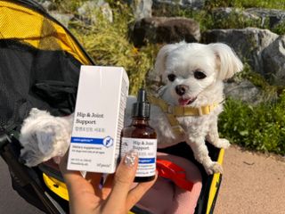 망아진가봄님이 올린 리뷰 사진 1