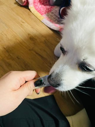 진진님이 올린 리뷰 사진 4