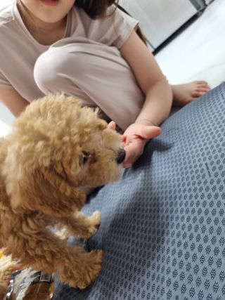 hsjw님이 올린 리뷰 사진 3