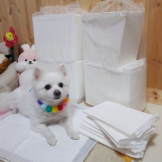 떠뇽님이 올린 리뷰 사진 4