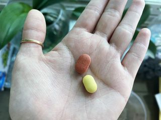 sorakim님이 올린 리뷰 사진 1