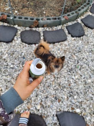 오둥이맘님이 올린 리뷰 사진 2