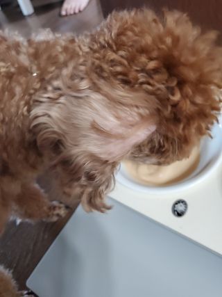 ONmom님이 올린 리뷰 사진 1