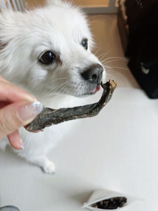 름님이 올린 리뷰 사진 4