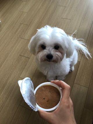 juj1230z님이 올린 리뷰 사진 4
