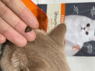 B님이 올린 리뷰 사진 2