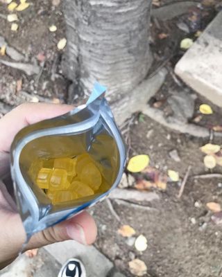 두빛나래님이 올린 리뷰 사진 4