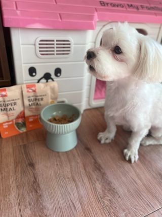 달콩리치님이 올린 리뷰 사진 3
