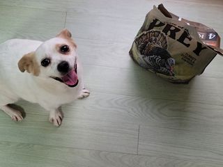 hing20님이 올린 리뷰 사진 1