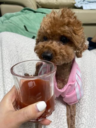 혜림님이 올린 리뷰 사진 3