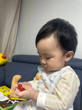 레드닥터 대추방울토마토 + 본생강 망고맛 스틱형 젤리 — 5점을 준 리뷰어가 2022년 12월 올린 사용 사진