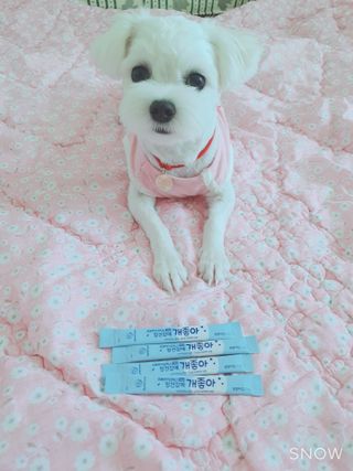 민앤후마미님이 올린 리뷰 사진 3