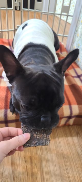 윤세둥이님이 올린 리뷰 사진 3