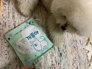 My Pet Care 천연단백질 눈건강에 개좋아 — 5점을 준 리뷰어가 2021년 4월 올린 사용 사진