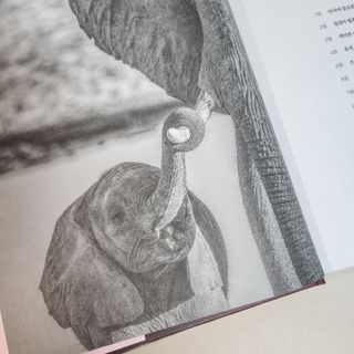 엘린쓰님이 올린 리뷰 사진 3