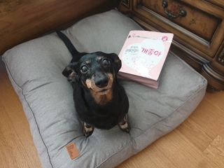 제이sy님이 올린 리뷰 사진 1