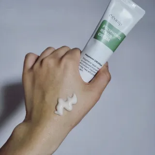 덤보님이 올린 리뷰 사진 1