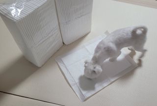 쏘이님이 올린 리뷰 사진 2