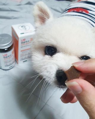 리뷰맨스님이 올린 리뷰 사진 2